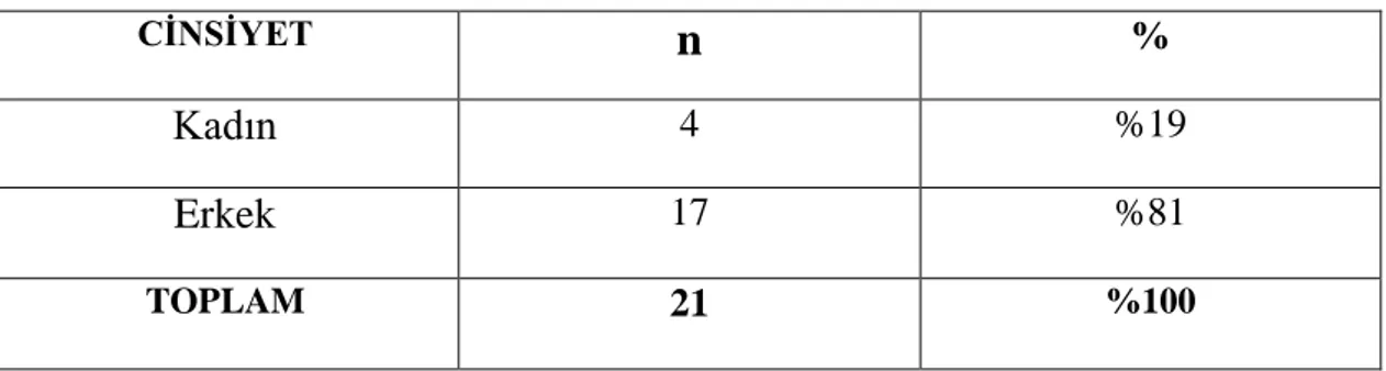 Tablo 1 Araştırmaya Katılan Kişilerin Demografik Özelikleri 