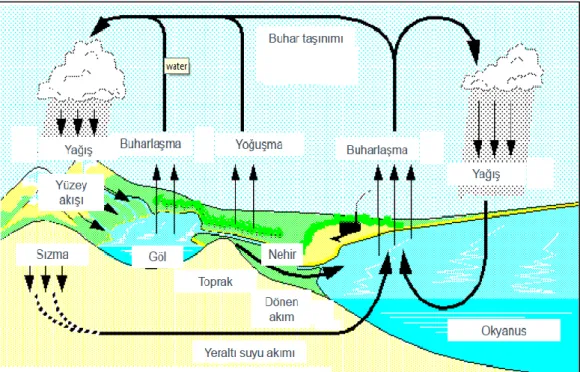 Şekil 1.2. Doğal su çevrimi (URL-1) 