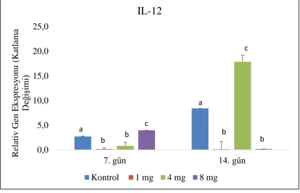 Grafik 4.6.  Yüksek  ardıç  sulu  methanolik  özütünün  14  gün  boyunca  gökkuşağı  alabalıklarına  oral  yolla  beslenme  şırıngası  kullanılarak  verilmesi  sonucunda  IL-12  gen  sunumlarında  meydana  gelen  değişimler  (Katlama  Değişimi)