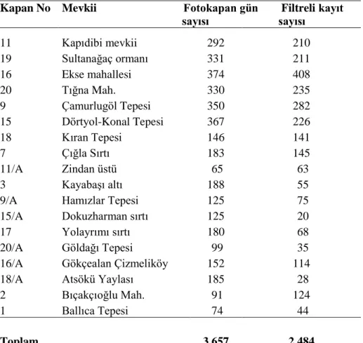 Tablo 4.3. Toplam fotokapan gün değerleri ile hedef türlere ait filtreli kayıt sayısı 
