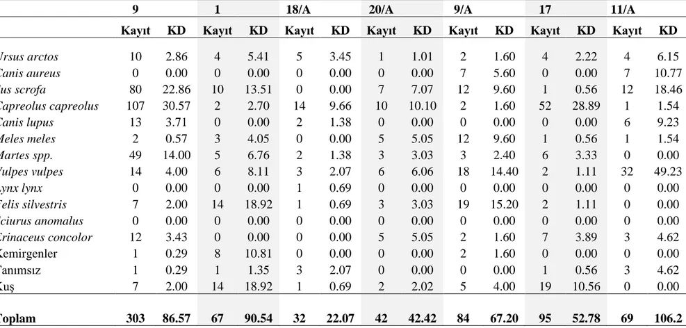 Tablo 4.4.’ün devamı 