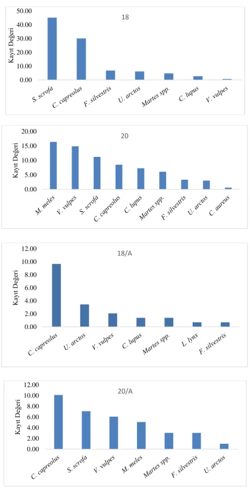 Grafik 4.2.’nin devamı 