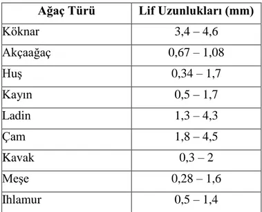 Çizelge 1.3. MDF üretiminde kullanılan bazı ağaç türleri ve bu ağaç türlerinin lif uzunlukları  (Tank 1980) 