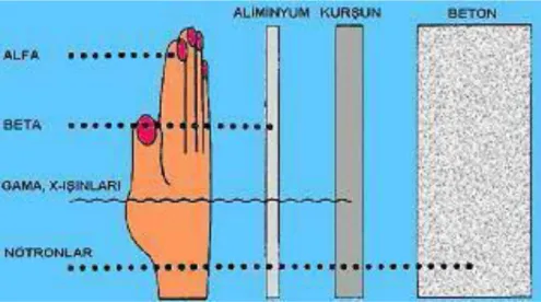 Şekil 1.3. İyonlaştırıcı radyasyonun giriciliği 