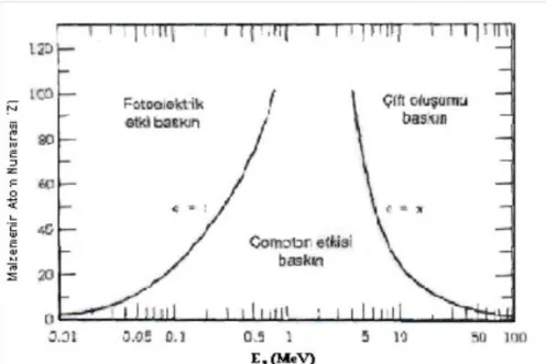Şekil 1.9. Fotoelektrik olay, compton saçılması ve çift oluşumunun atom numarası ile                        enerjiye bağlı etki alanları 