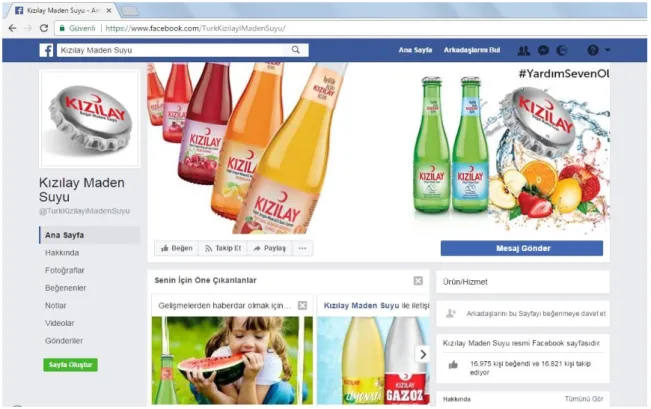 Şekil 2.1. Facebook 