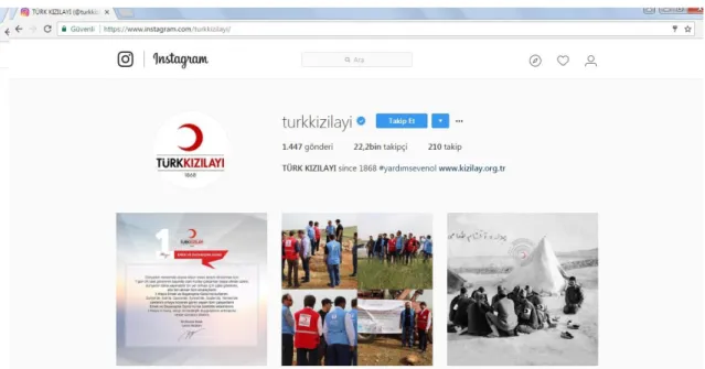 Şekil 2.3. Instagram 