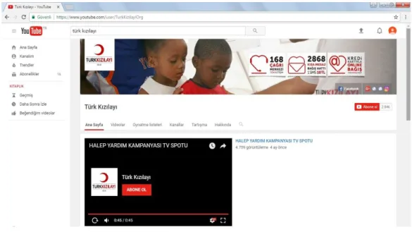Şekil 2.4. Youtube 