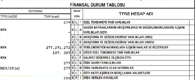 Şekil 1. TFRS Model Hesap Planı-BL*Özel Tükenmeye Tabi Varlıklar 