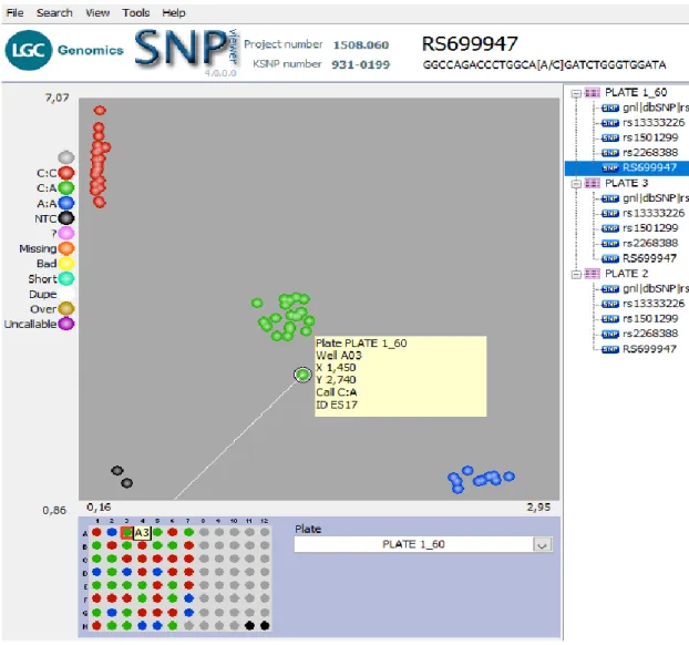 Şekil  4.3. rs699947 nin CA genotipi sergileyen ES17 nolu hastaya ait yeşil veri  noktasının  gösterimi