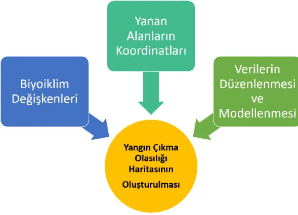 Grafik 3.1. Çalışmanın Yöntemini Gösteren Diyagram 