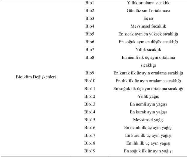 Tablo 3.2’nin devamı