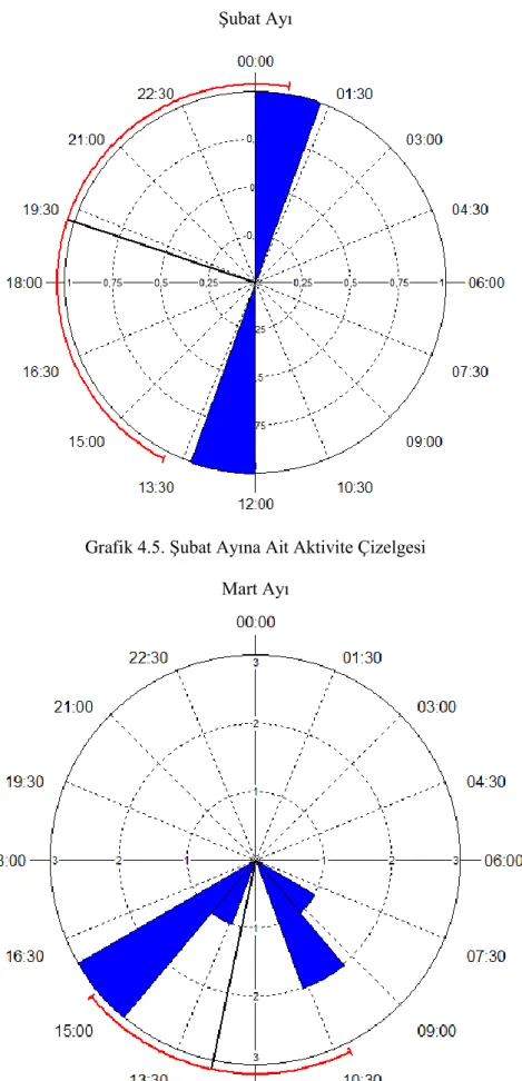 Grafik 4.5. Şubat Ayına Ait Aktivite Çizelgesi  Mart Ayı 