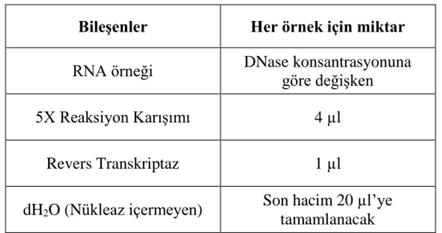 Tablo 3.3. cDNA sentezi için gerekli reaksiyon protokolü 