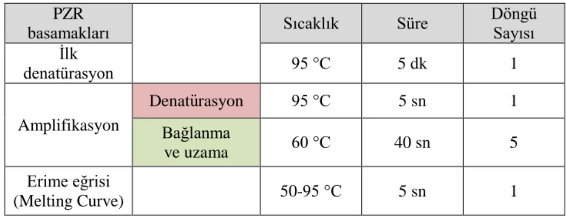 Tablo 3.8. Gerçek zamanlı polimeraz zincir reaksiyonunun çalışma koşulları 