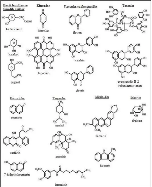 Şekil 1.1. Bitki bazlı bileşiklerin kimyasal dağılımları 
