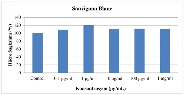 Grafik 4.6. Sauvignon Blanc'ın 24 saat sonra kanser hücrelerine etkisi 