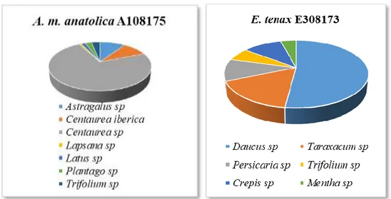 Grafik  4.5. Ağustos  ayında  toplanan   A.  m.  anatolica   A108175  ve  E.  tenax  E308173 