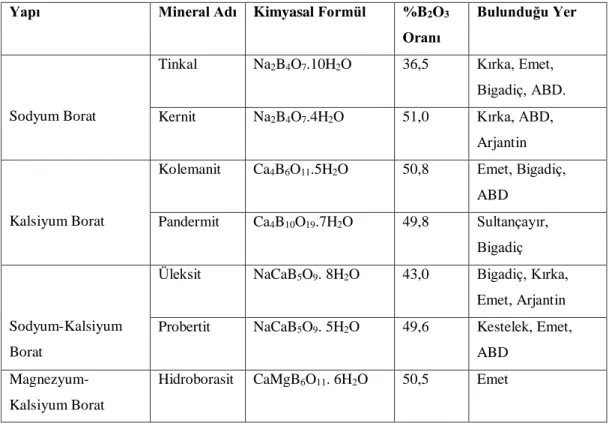 Tablo 3.4. Ticari Öneme Sahip Bor Mineralleri 