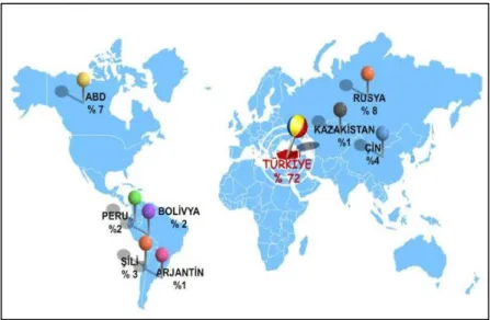 Şekil 3.2. Dünya’da önemli bor yatakları (Web ileti 1) 