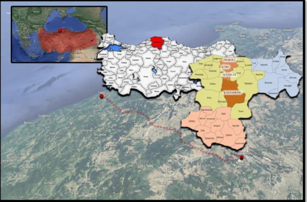 Şekil 3.1. İstiklâl Yolu Kültür Rotası’nın Kastamonu Bölümüne İlişkin Lokasyon Haritası  
