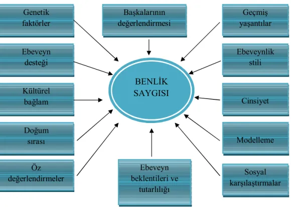 Şekil 1. Benlik saygısını etkileyen faktörler 