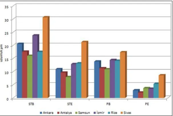 Şekil 4.13. Cercis siliquastrum’da STB, STE, PB ve PE’nin il bazında değişimi  