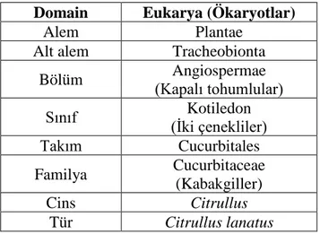 Tablo 1.1. Karpuz (Citrullus lanatus) biyolojik sınıflandırılması (URL-7, 2017) 
