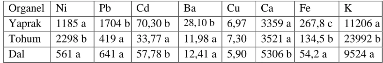 Tablo 4.4. Organel bazında ortalama değerler ve Duncan testi sonuçları 