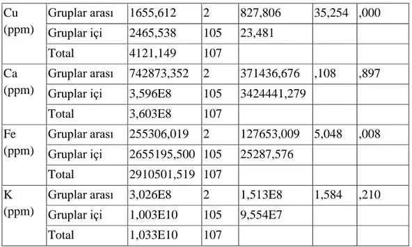 Tablo 4.5’in devamı  Cu  (ppm)  Gruplar arası  1655,612  2  827,806  35,254  ,000  Gruplar içi  2465,538  105  23,481  Total  4121,149  107  Ca  (ppm)  Gruplar arası  742873,352  2  371436,676  ,108  ,897  Gruplar içi  3,596E8  105  3424441,279   