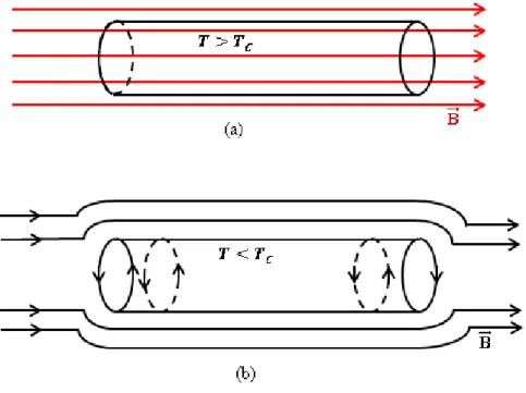 Şekil 1.3. (a) Manyetik alanın şematik gösterimi, (b) Meissner olayı 