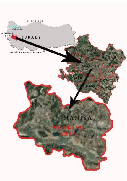 Şekil 3.1. Manisa ilinin coğrafik konumu 
