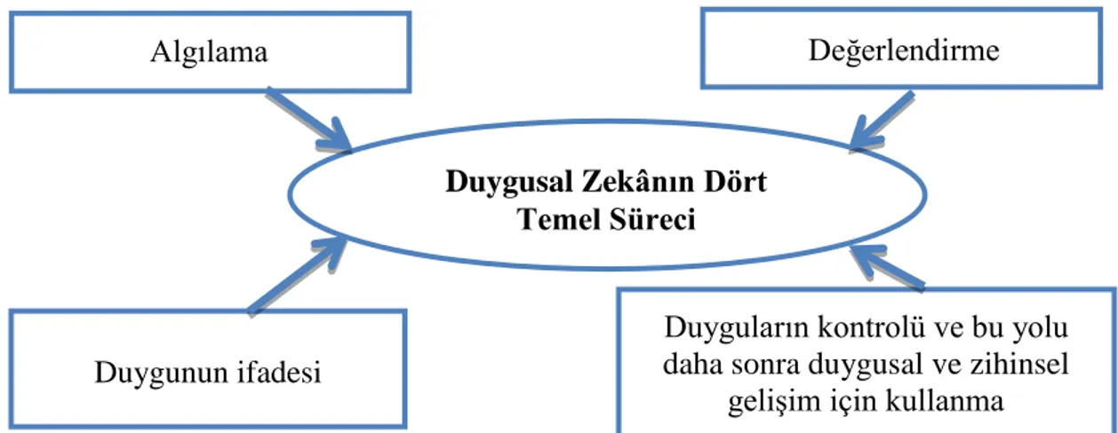 ġekil 1.4. Duygusal zekânın dört temel süreci (Salovey ve Mayer, 1997)  Güney (2013), baĢarılı olmak isteyen her insanın bu süreçleri baĢarı ile tamamlaması  gerektiğini  belirtmektedir