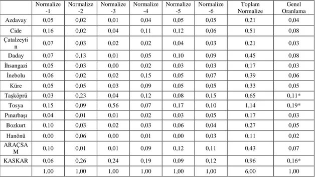 Tablo 3.3. Anket yapılacak OİM seçimi için yapılan Normalizasyon sonuçları 