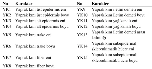 Tablo 3.6. Ölçülen yaprak kını karakterleri 