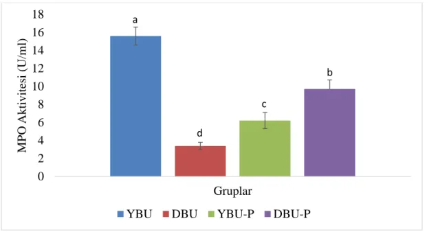 Grafik 4.2.  Farklı  oranlarda  pancar  unu  içeren  yemlerle  beslenen  gökkuşağı  alabalıklarında myeloperoksidaz meydana gelen değişimler (U/ml)