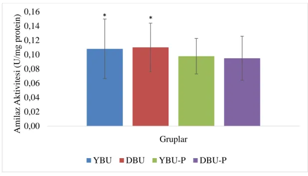 Grafik 4.6.  Farklı  oranlarda  pancar  unu  içeren  yemlerle  beslenen  gökkuşağı  alabalıklarında  pepsin  aktivitesinde  meydana  gelen  değişimler  (U/mg  protein)