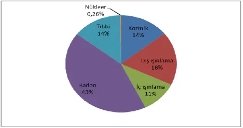 Grafik 1.1. Bireylerin aldığı yıllık etkin dozun radyoaktif kaynaklara göre dağılımı 