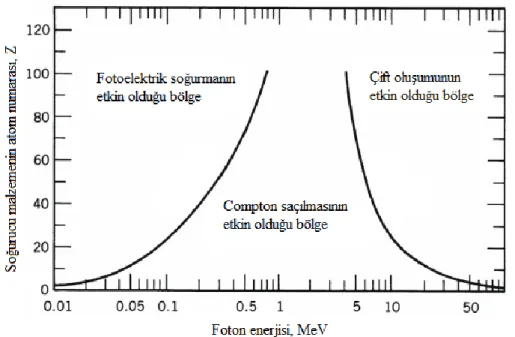 Şekil 1.6. Fotoelektrik olay, compton olayı ve çift oluşumunun baskın olduğu bölgeler  