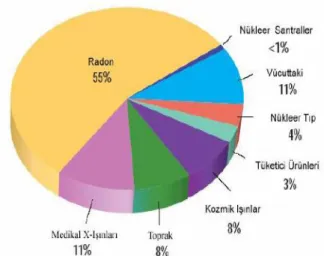 Grafik 1.2. Radyasyon kaynakları 