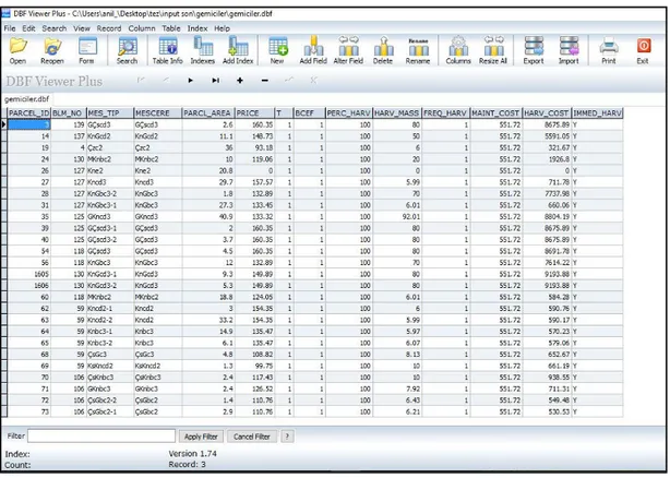 Şekil 4.5. InVEST Programı İçin DBF Plus Programında Veri Girişleri Örneği 