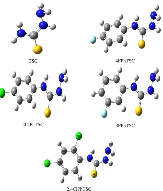 Şekil 5.1. TSC, 4FPhTSC, 4ClPhTSC, 3FPhTSC ve 2,4ClPhTSC için optimize edilmiş  geometriler