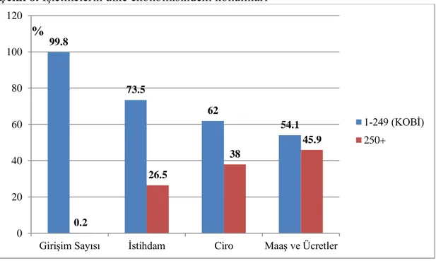 Şekil 8. İşletmelerin ülke ekonomisindeki konumları 