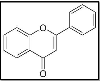 Şekil 1.4. Flavon 