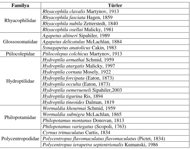 Tablo 1.2.1. Kastamonu’da bulunan türler (Küçükbasmacı ve Kıyak, 2017) 