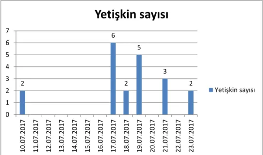 Tablo 4.1.3. Çal-1 ortamının ortalama sıcaklık, pH ve ÇOM değerleri 