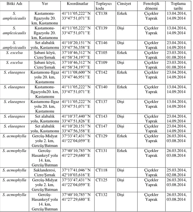 Tablo 3.1. Çalışmada kullanılan bitki örnekleri  Bitki Adı  Yer  Koordinatlar  Toplayıcı 
