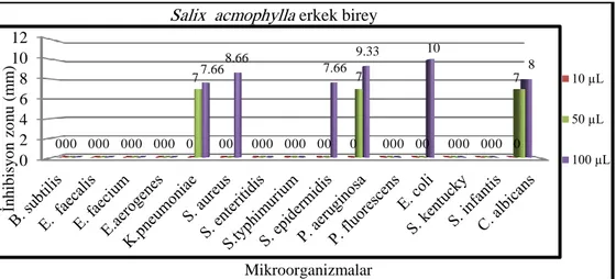 Grafik 4.1. Test mikroorganizmalarına karşı Salix acmophylla erkek birey ekstraktının                              antimikrobiyal aktivitesi 