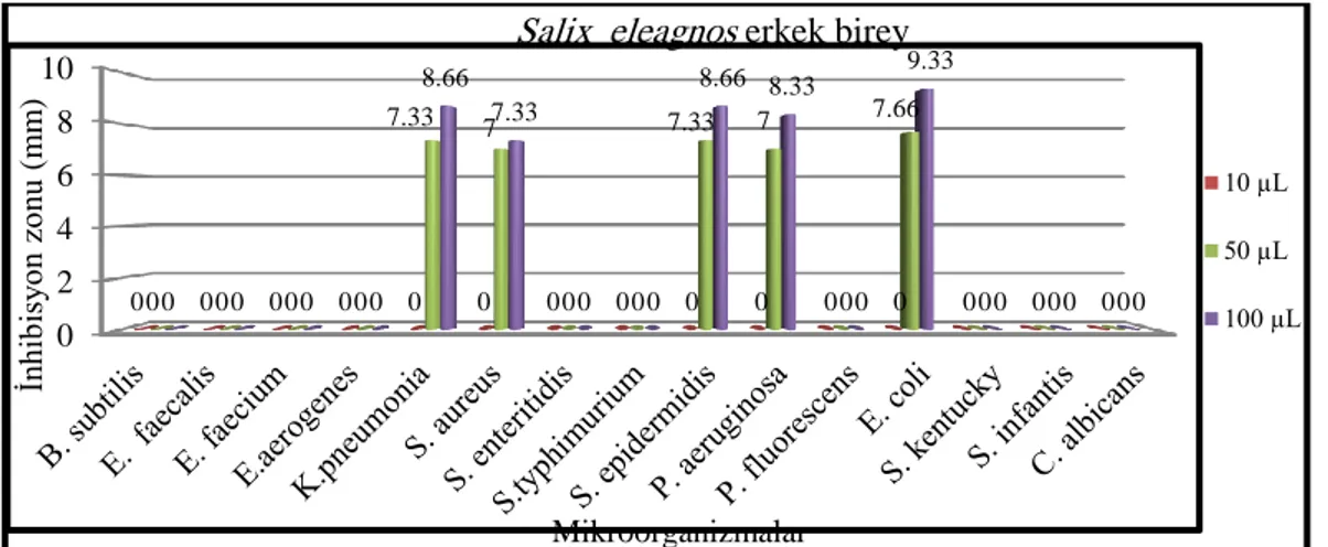 Tablo  4.2’de  Salix  eleagnos  erkek  ve  dişi  birey  ekstraktlarının  antimikrobiyal  aktivitesi  gösterilmştir