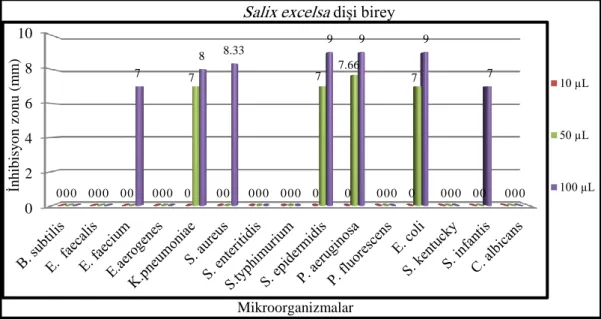 Grafik 4.6. Test mikroorganizmalarına karşı Salix excelsa dişi birey ekstraktının                                 antimikrobiyal aktivitesi 